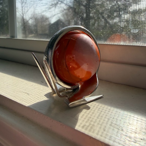 Marble Fork Snail - Picture 8 of 8